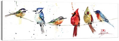 Birds On A Wire Canvas Art Print - Panoramic & Horizontal Wall Art