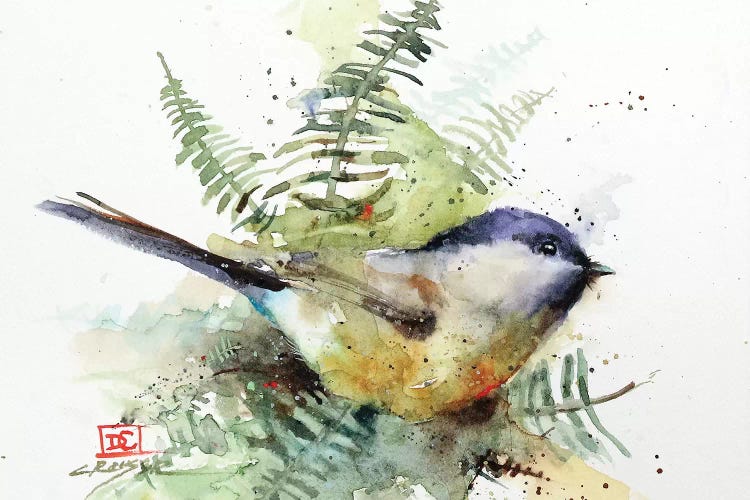 Chickadee & Ferns