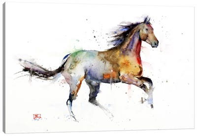 Horse II Canvas Art Print - Kids Animal Art