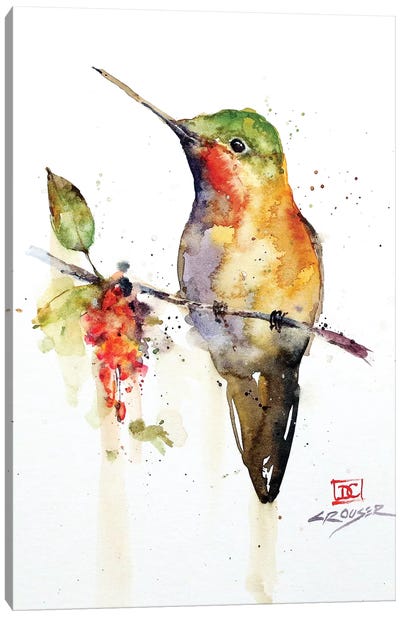 Hummingbird On Branch Canvas Art Print - Watercolor Art