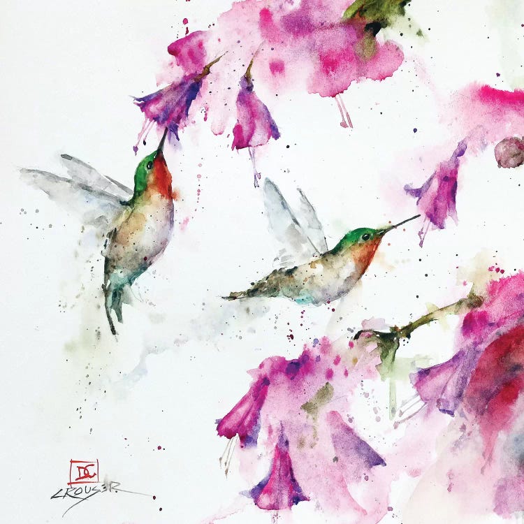 Hummingbirds And Floral