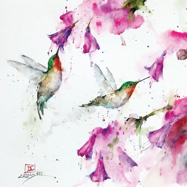 Watercolor Flowers: Hummingbirds And Floral by Dean Crouser