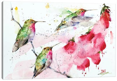 Hummingbirds And Flowers Canvas Art Print - Dean Crouser