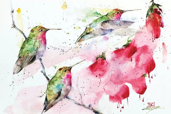 Dean Crouser: Hummingbirds And Flowers by Dean Crouser
