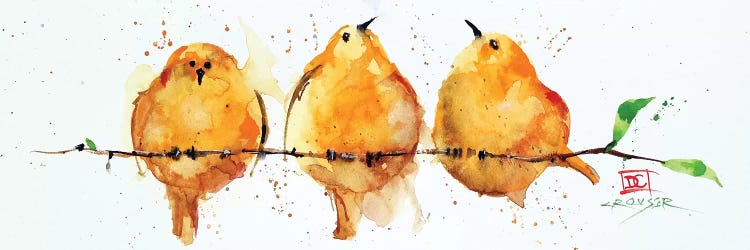 Orange Birds