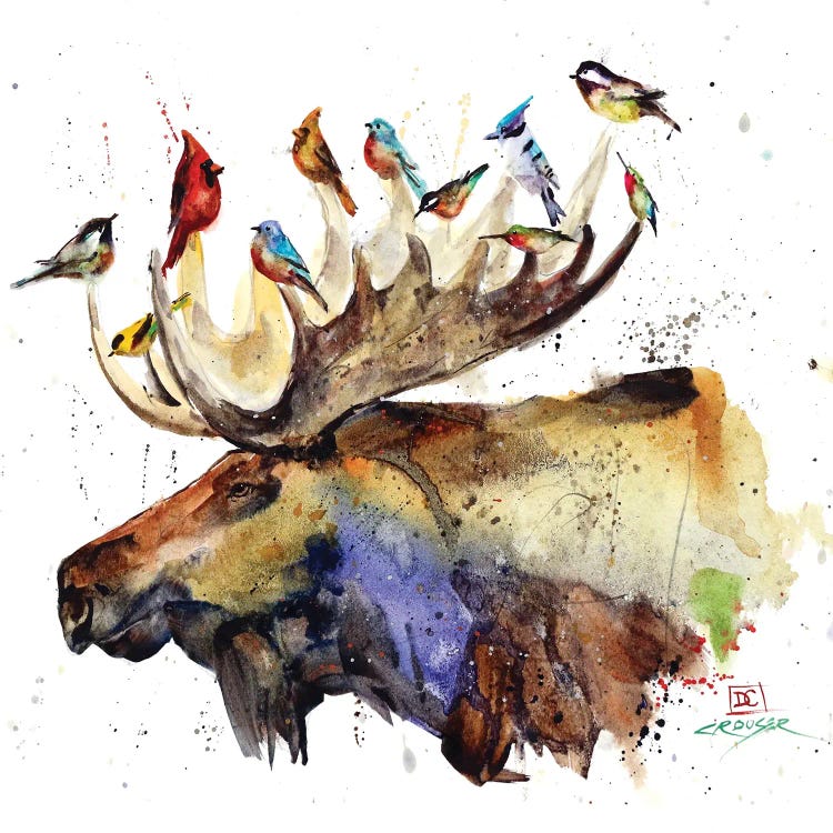 Moose and Birds