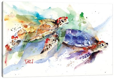 Sea Turtles Canvas Art Print - Beach Décor
