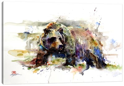 Multi-Colored Bear Canvas Art Print - Rustic Décor