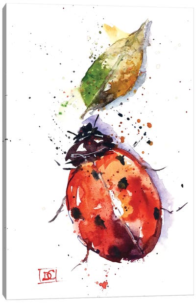 Ladybug Canvas Art Print - Lakehouse Décor