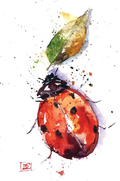 Lakehouse Décor: Ladybug by Dean Crouser