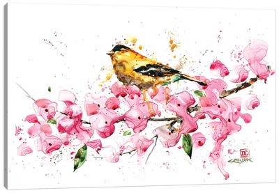 Bird and Cherry Blossoms Canvas Art Print - Blossom Art