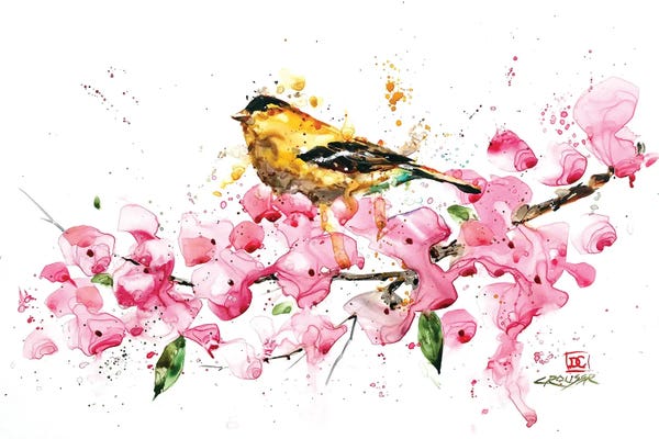 Nature Lover: Bird and Cherry Blossoms by Dean Crouser