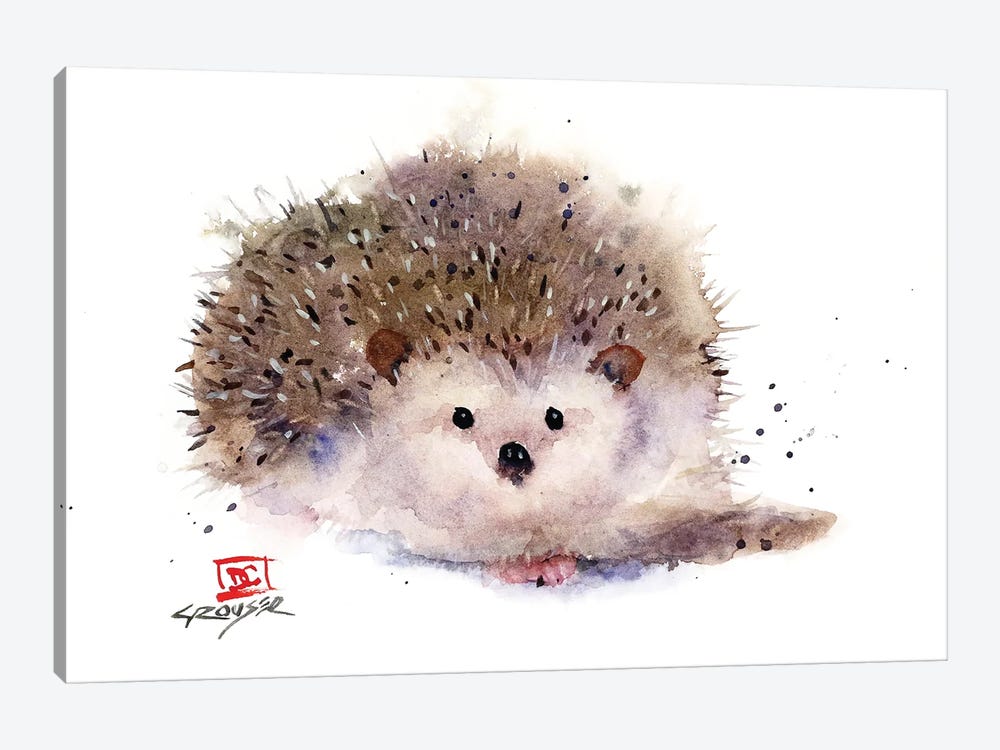 Hedgehog by Dean Crouser 1-piece Canvas Print