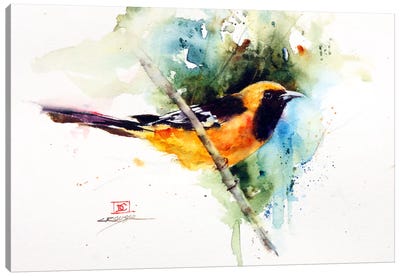 Orange Bird Canvas Art Print - Dean Crouser