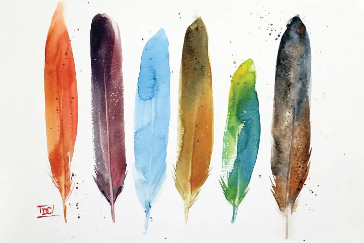 Feathers by Dean Crouser wall art