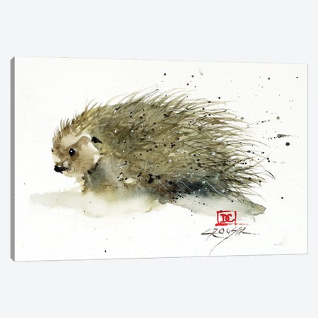 Porcupine Canvas Print #DCR236} by Dean Crouser Art Print
