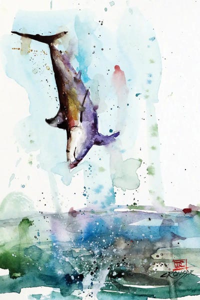 Sharks: Mako Shark by Dean Crouser