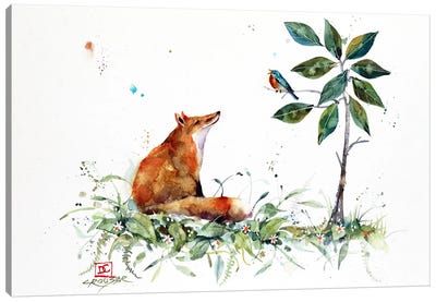 Fox And Bluebird Canvas Art Print - Dean Crouser