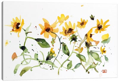 Sunflower Patch Canvas Art Print - Dean Crouser