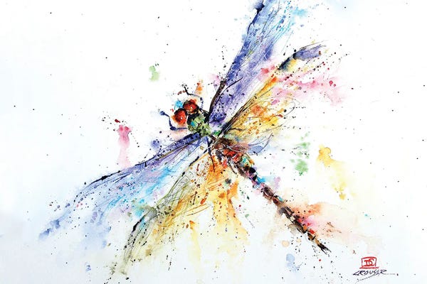 Dragonflies: Pond Dragonfly by Dean Crouser