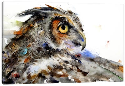 Owl II Canvas Art Print - Kids Animal Art