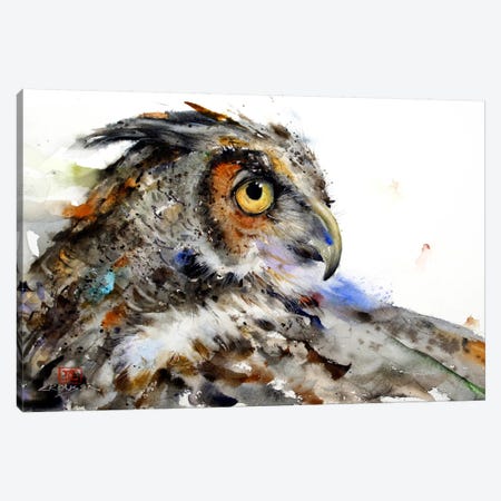 Owl II Canvas Print #DCR25} by Dean Crouser Canvas Art