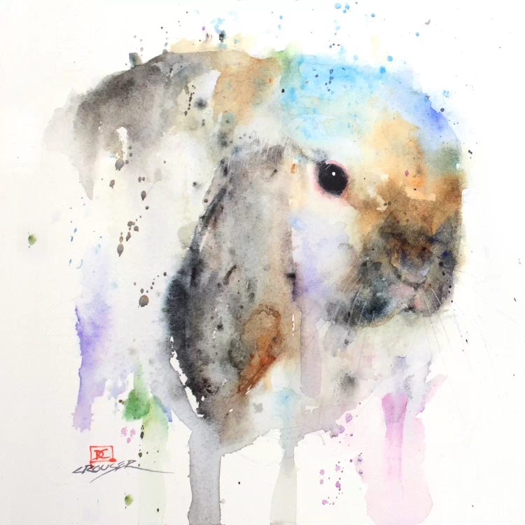 Rabbit by Dean Crouser wall art