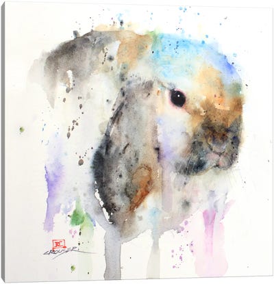 Rabbit Canvas Art Print - Dean Crouser