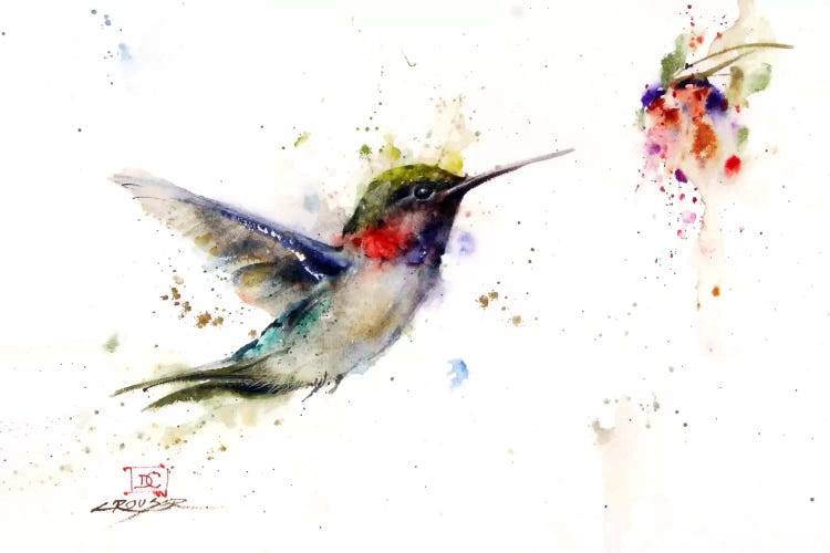 Colibri in the Moment