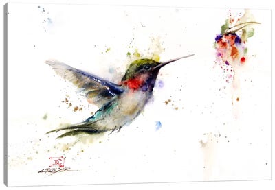 Colibri in the Moment Canvas Art Print