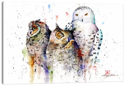 Owls Don't Sleep Canvas Art Print - Wildlife Art
