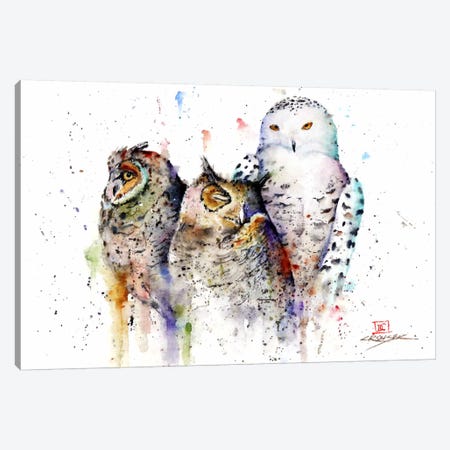 Owls Don't Sleep Canvas Print #DCR32} by Dean Crouser Canvas Artwork