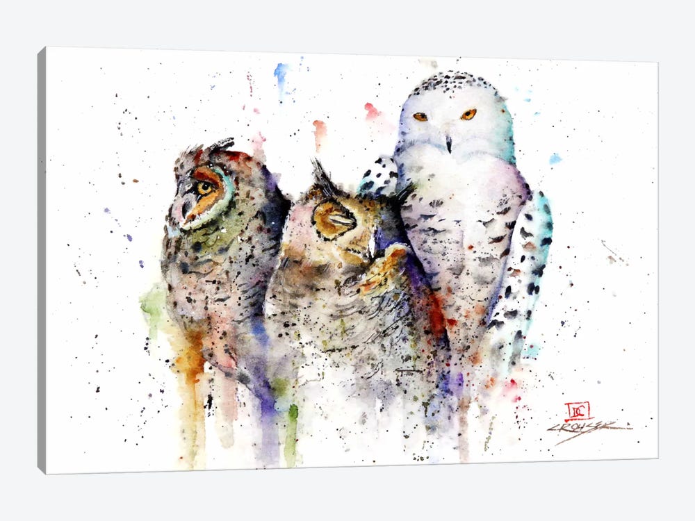 Owls Don't Sleep by Dean Crouser 1-piece Canvas Wall Art