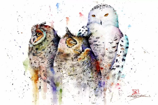 Cabin & Lodge Décor: Owls Don't Sleep by Dean Crouser