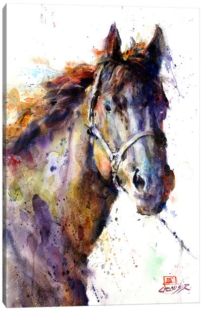 Horse III Canvas Art Print - Farm Animal Art
