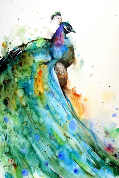 Kids Animal Art: Peacock by Dean Crouser