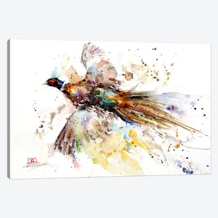 Colorful Pheasant Canvas Print #DCR37} by Dean Crouser Canvas Print