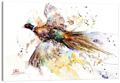 Colorful Pheasant Canvas Art Print - Pheasant Art