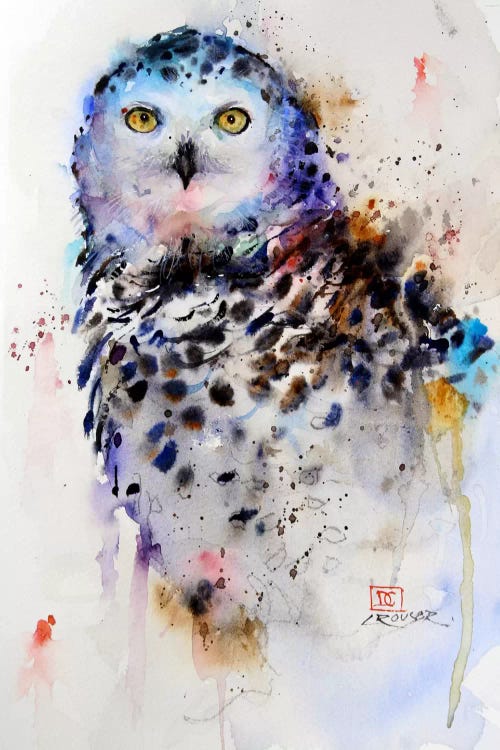 Owl