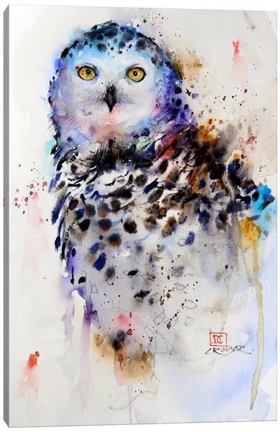 Owl Canvas Art Print - Colorful Contemporary