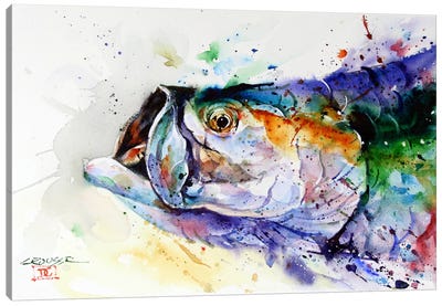 Fish Canvas Art Print - Colorful Contemporary