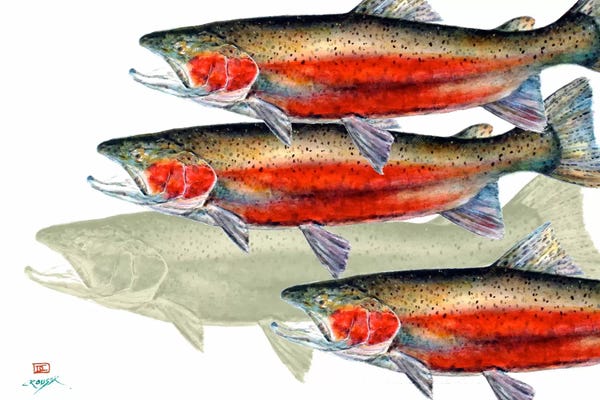 Dean Crouser: Bloody Fish by Dean Crouser