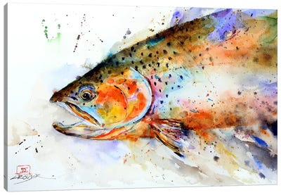 Fish (Multi-Color) Canvas Art Print - Rustic Décor
