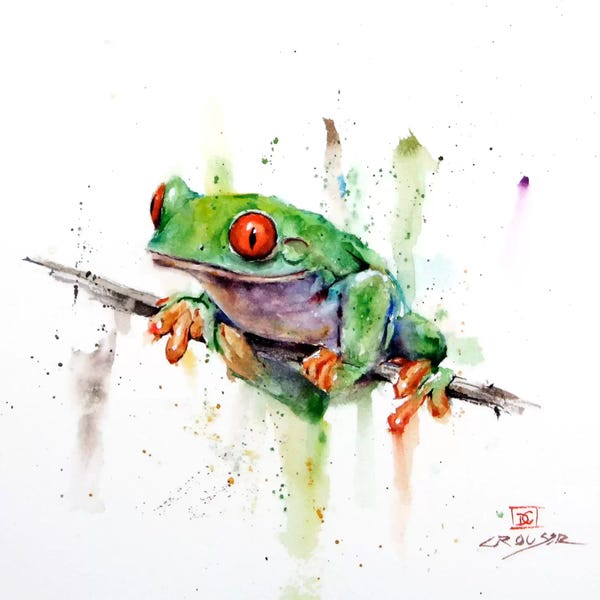 Reptiles & Amphibians: Frog by Dean Crouser