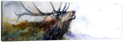 Elk II Canvas Art Print - Cabin & Lodge Décor