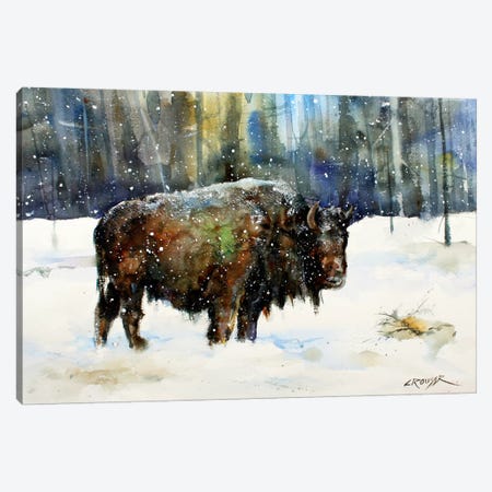 Bison Canvas Print #DCR67} by Dean Crouser Canvas Artwork