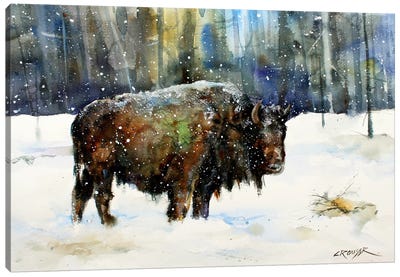 Bison Canvas Art Print - Snow Art