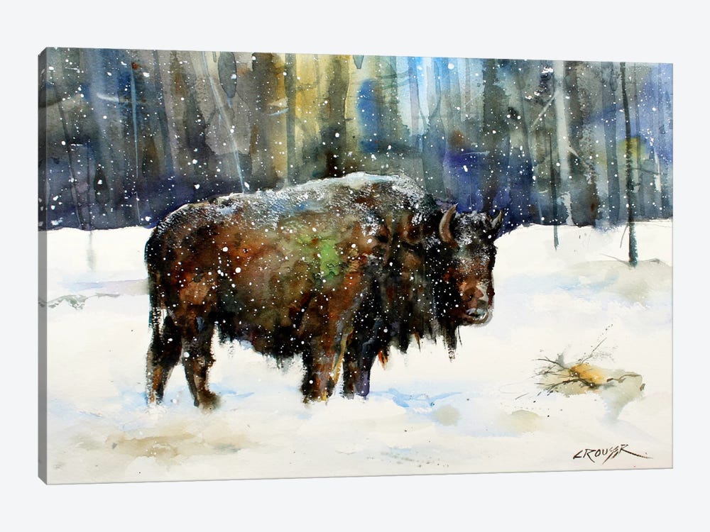 Bison by Dean Crouser 1-piece Canvas Art