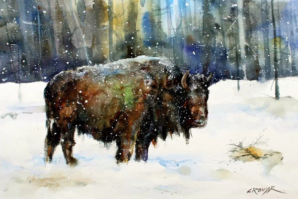 Snow: Bison by Dean Crouser