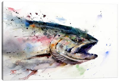 Fish II Canvas Art Print - Cabin & Lodge Décor